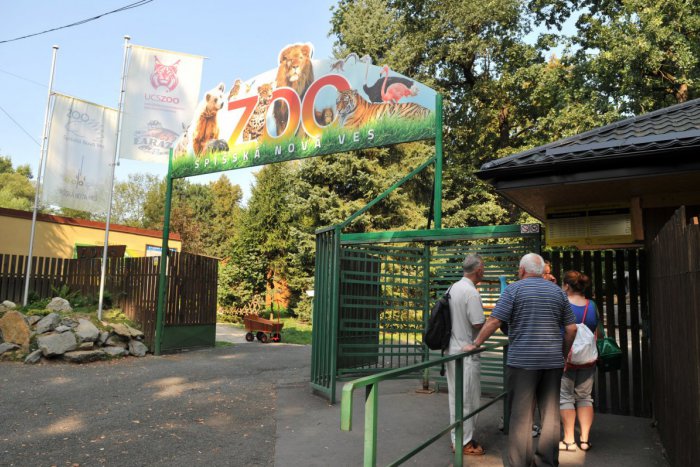 Ilustračný obrázok k článku Spišskonovoveská zoo vyhlásila súťaž: Zapojiť sa môžu všetky vekové kategórie