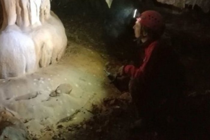 Ilustračný obrázok k článku Kuriózny nález v podzemí na Silickej planine: Stalagmit v tvare falusu, FOTO