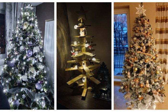 Ilustračný obrázok k článku Nazrite Novovešťanom do obývačiek: Veľká GALÉRIA vianočných stromčekov našich čitateľov