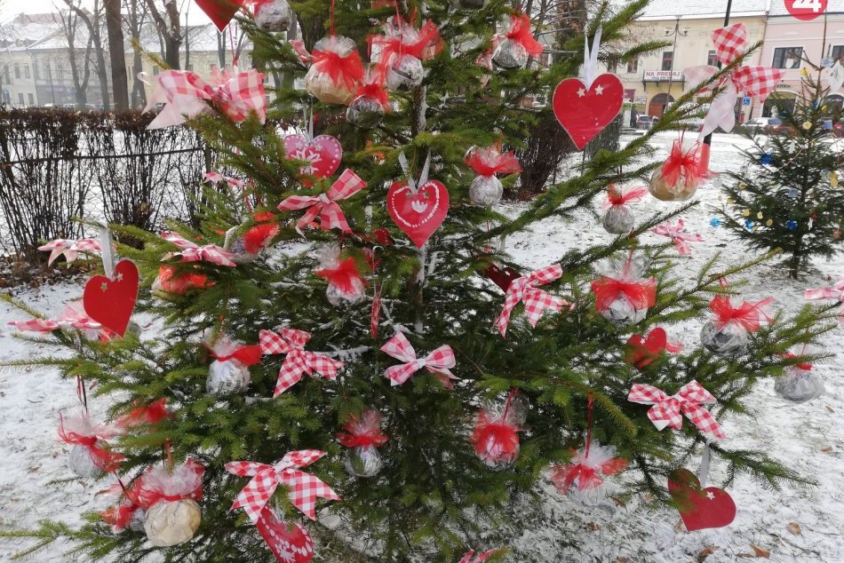 Okolie radnice zdobia vianočné stromčeky, ktoré vytvorili deti